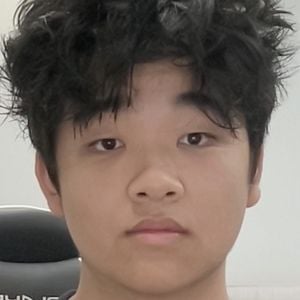 Justin Jin Profile Picture