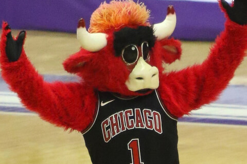 Benny the Bull - Actor Portrayals, Ages, Trivia | Famous Birthdays