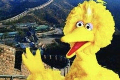 Big Bird