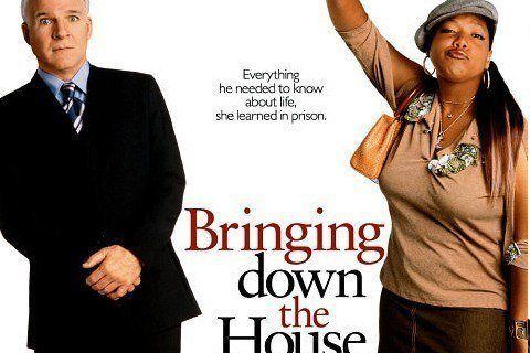 bringing down the house poster