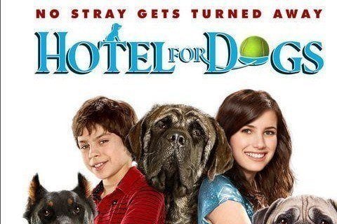 Hotel For Dogs Movie 