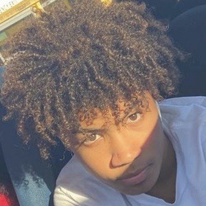 Curlyheadbrian - Age, Family, Bio | Famous Birthdays