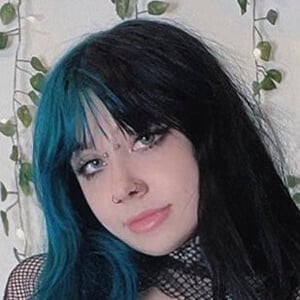 venomous_dolly - Age, Family, Bio | Famous Birthdays