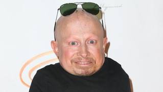 Verne Troyer Highlights